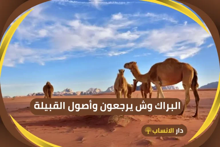 البراك وش يرجعون