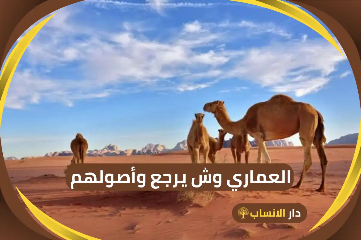 العماري وش يرجع وأصولهم ورمز القبيلة - دار الانساب