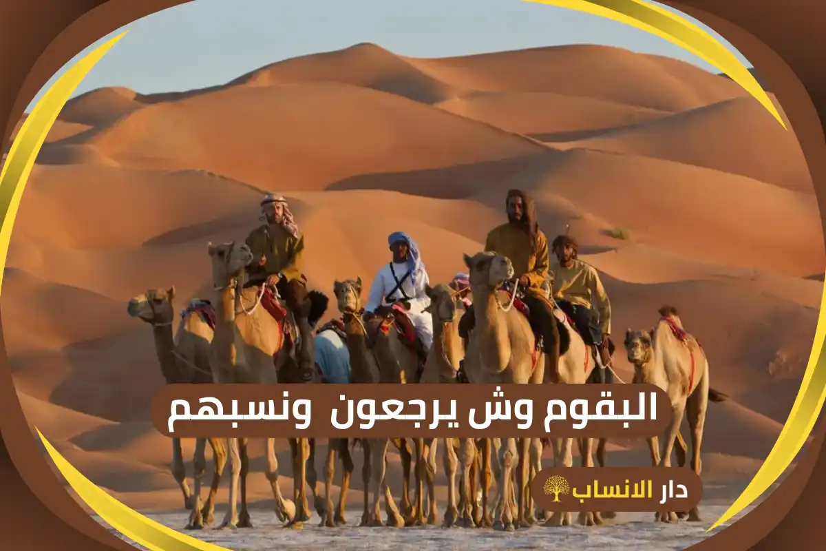 البقوم وش يرجعون