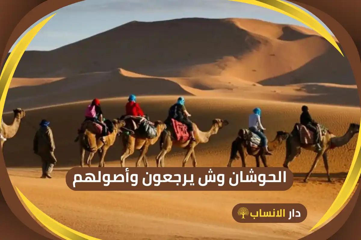 الحوشان وش يرجعون