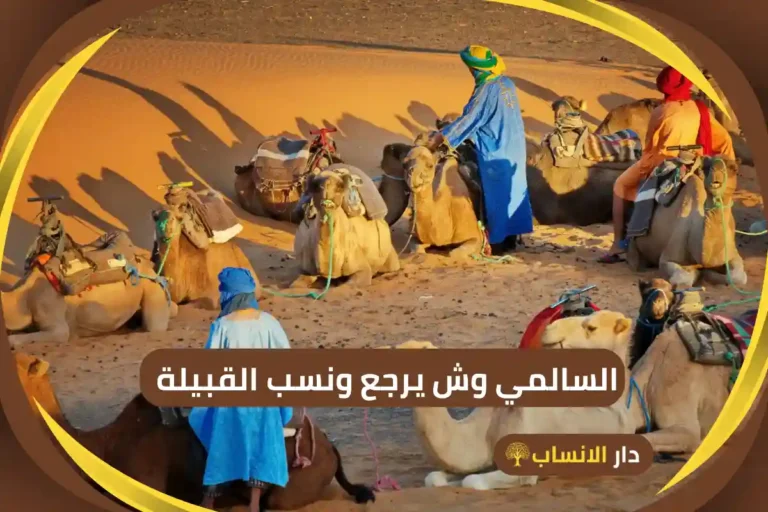 السالمي وش يرجع