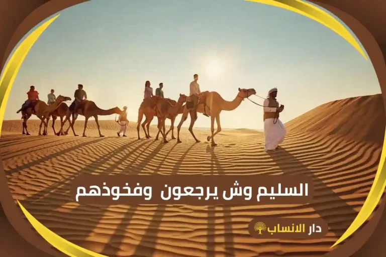 السليم وش يرجعون