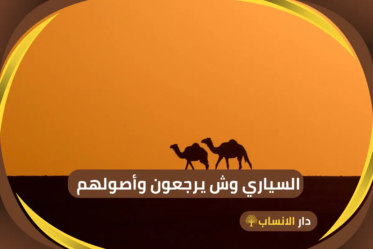 السياري وش يرجعون