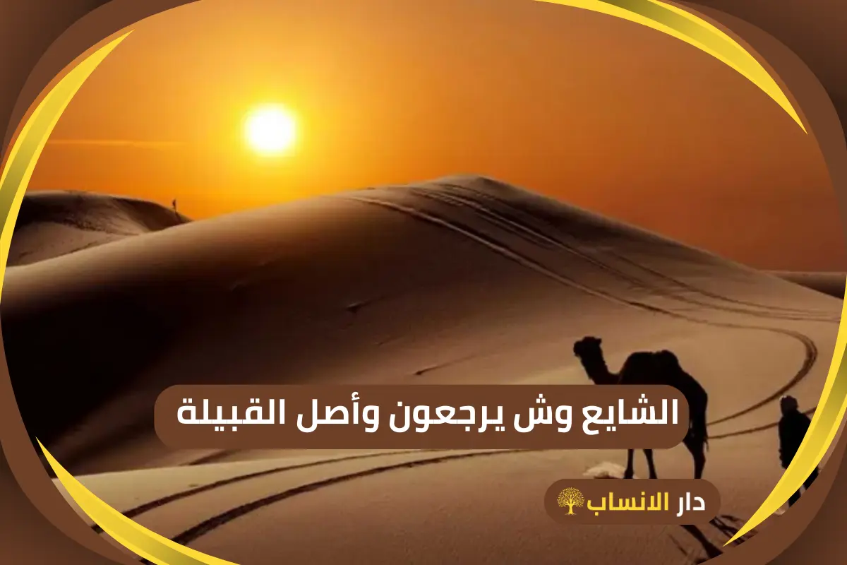 الشايع وش يرجعون
