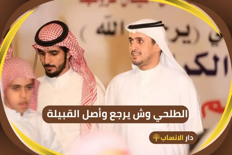 الطلحي وش يرجع