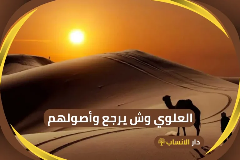 العلوي وش يرجع