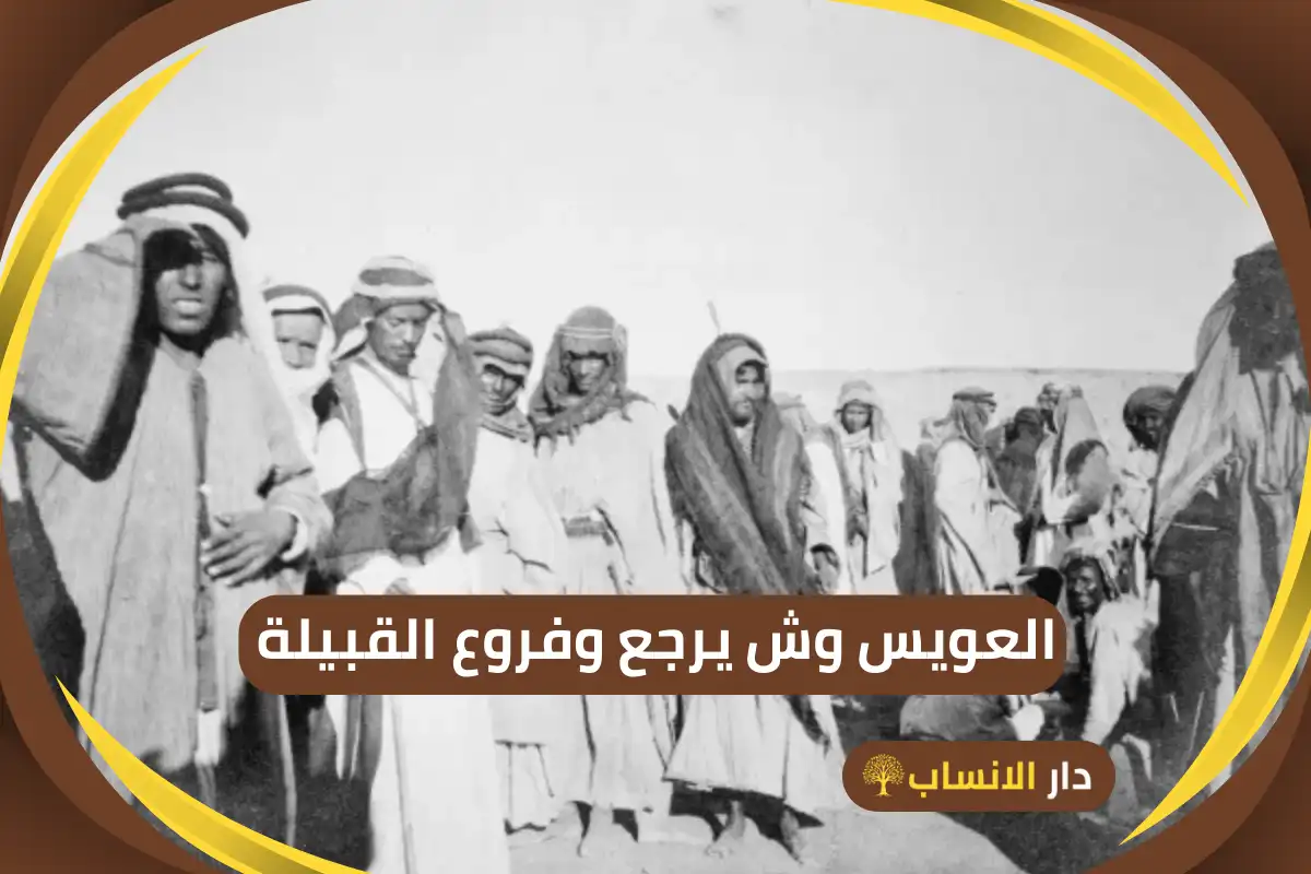 العويس وش يرجع