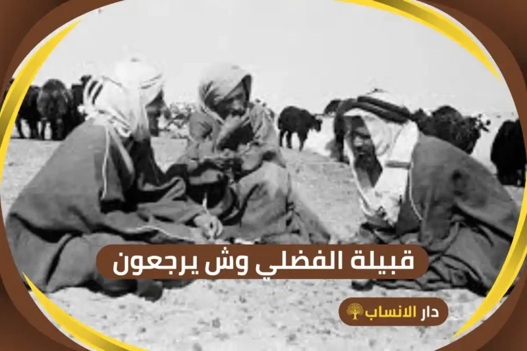 الفضلي وش يرجعون