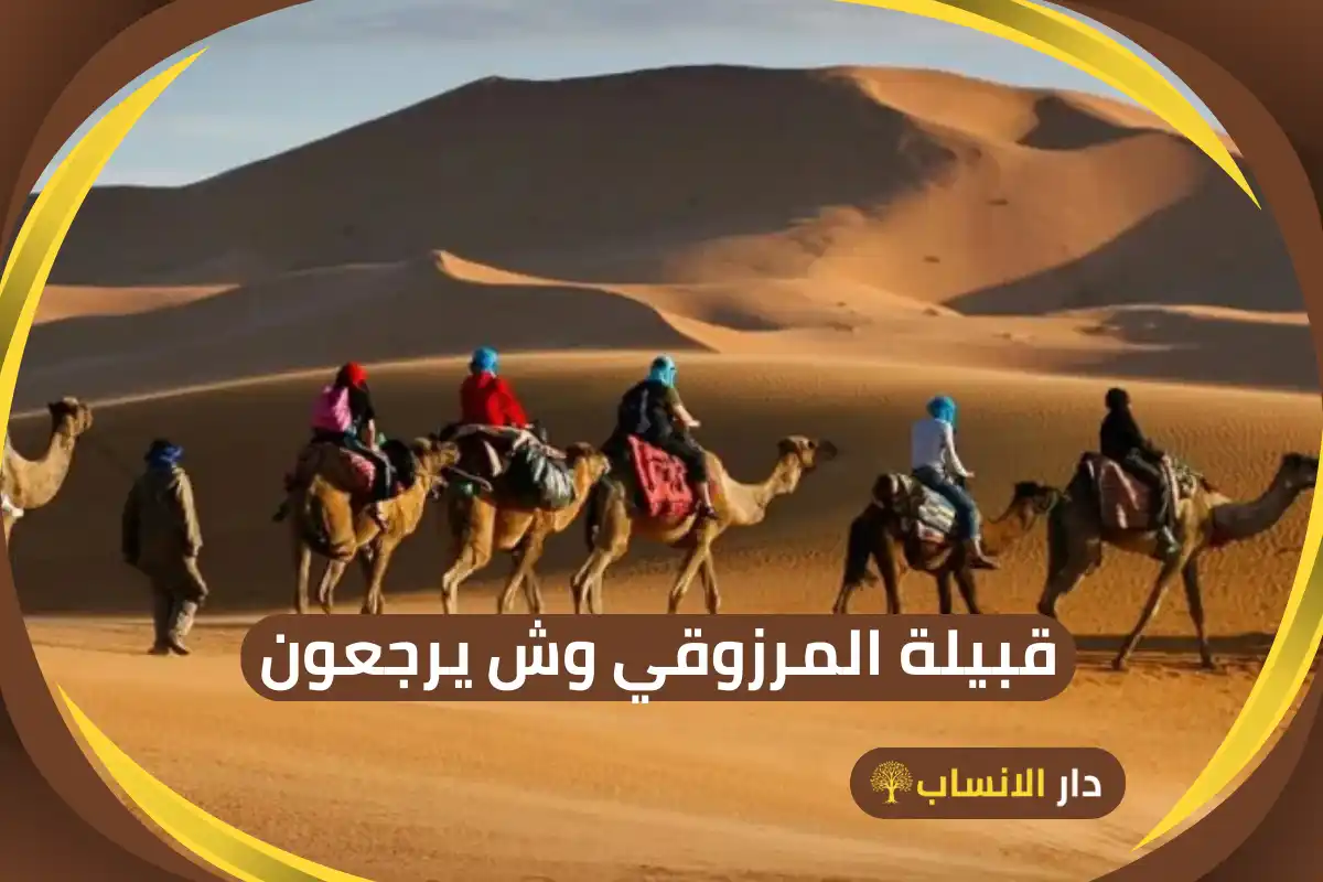 المرزوقي وش يرجعون